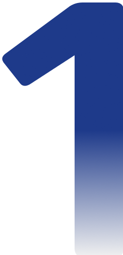 Número 1 - Consultoria e Orientação