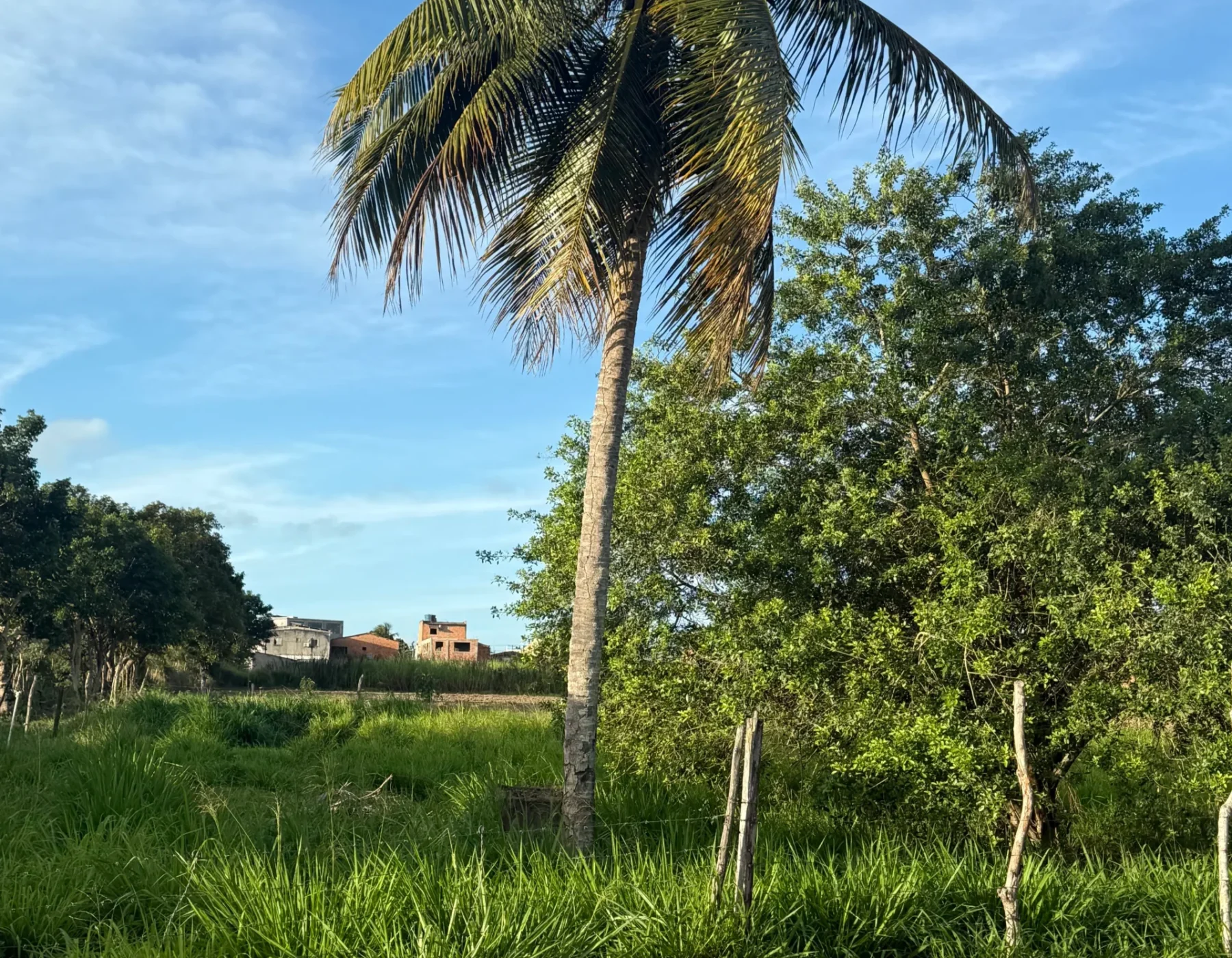 Terreno Estrada do Arizona frente