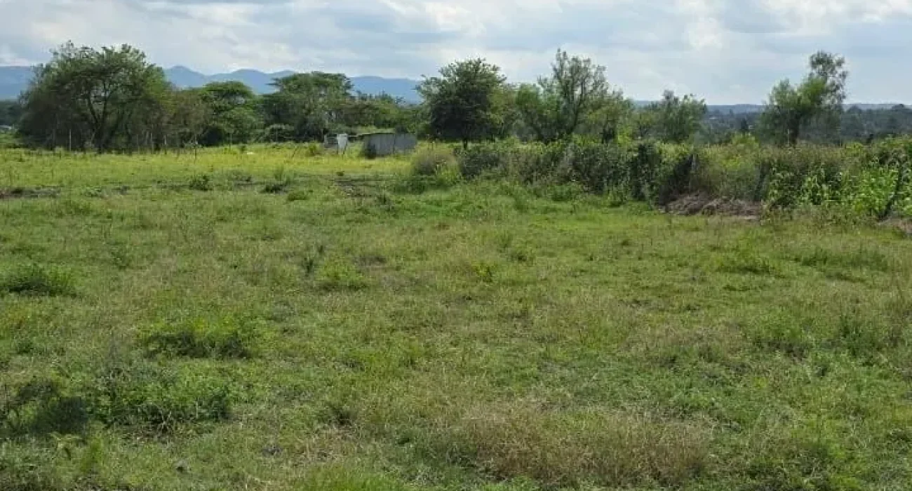 Terreno-Condominio-Vivence