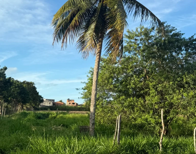 Terreno-Estrada-do-Arizona
