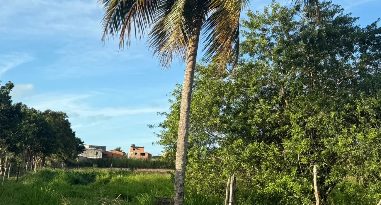 Terreno-Estrada-do-Arizona