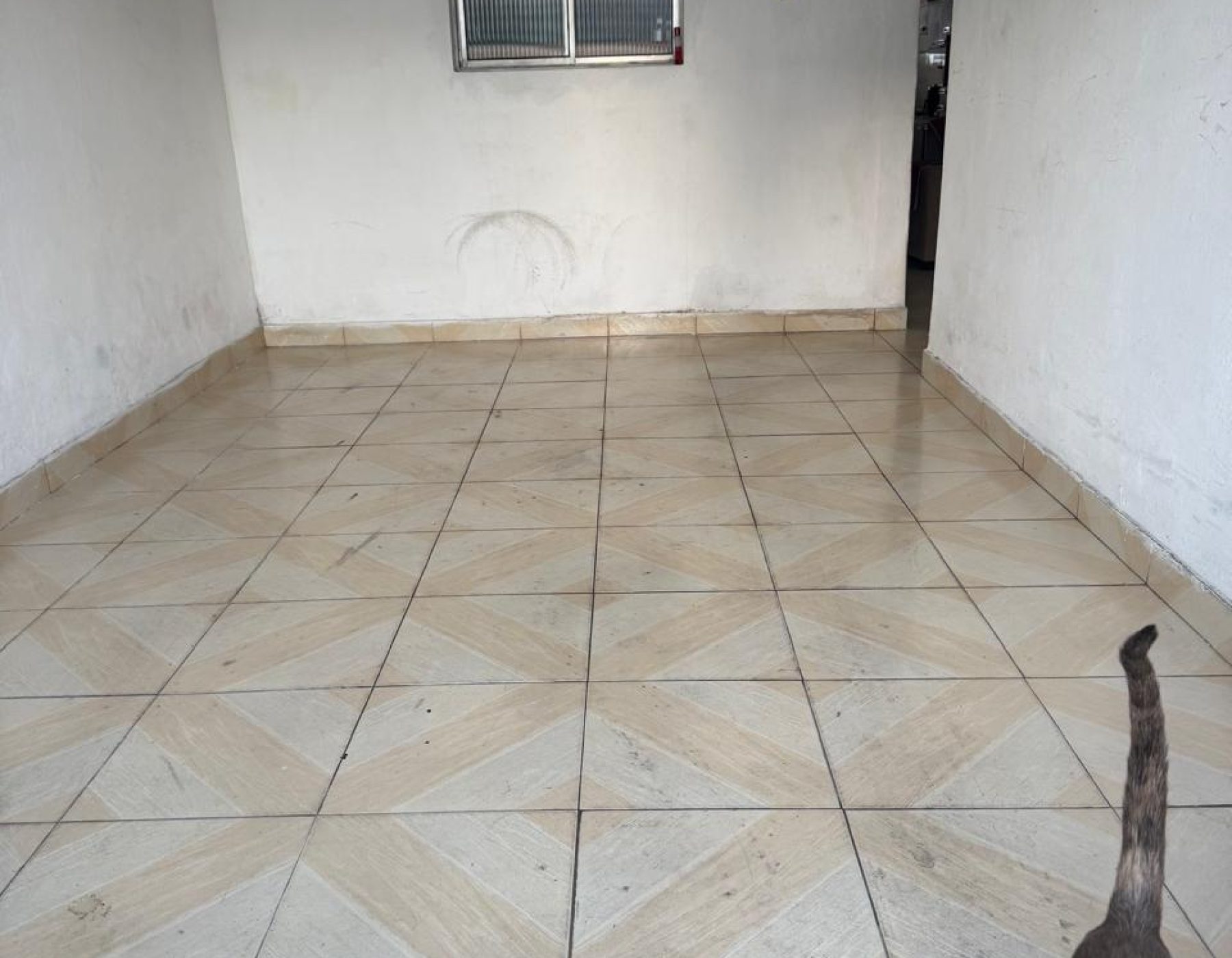 WhatsApp Image 2025-11-17 at 18.20.23 (7)